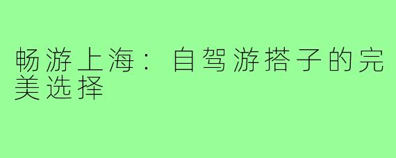 畅游上海:自驾游搭子的完美选择