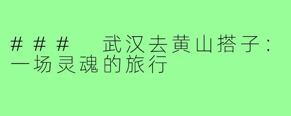 ### 武汉去黄山搭子:一场灵魂的旅行