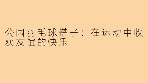 公园羽毛球搭子:在运动中收获友谊的快乐