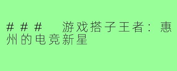 ### 游戏搭子王者：惠州的电竞新星