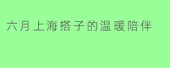 六月上海搭子的温暖陪伴