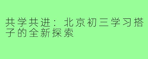 共学共进:北京初三学习搭子的全新探索