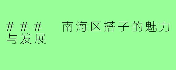 ### 南海区搭子的魅力与发展