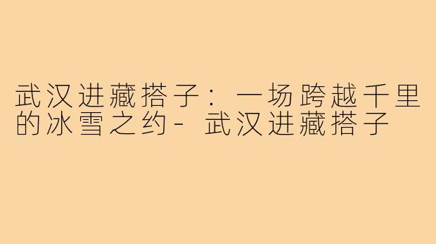 武汉进藏搭子：一场跨越千里的冰雪之约