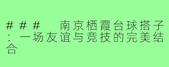 ### 南京栖霞台球搭子：一场友谊与竞技的完美结合