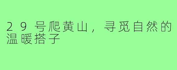29号爬黄山,寻觅自然的温暖搭子