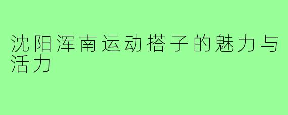 沈阳浑南运动搭子的魅力与活力