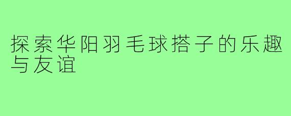 探索华阳羽毛球搭子的乐趣与友谊