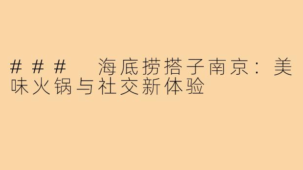 ### 海底捞搭子南京：美味火锅与社交新体验