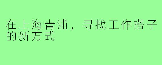 在上海青浦,寻找工作搭子的新方式