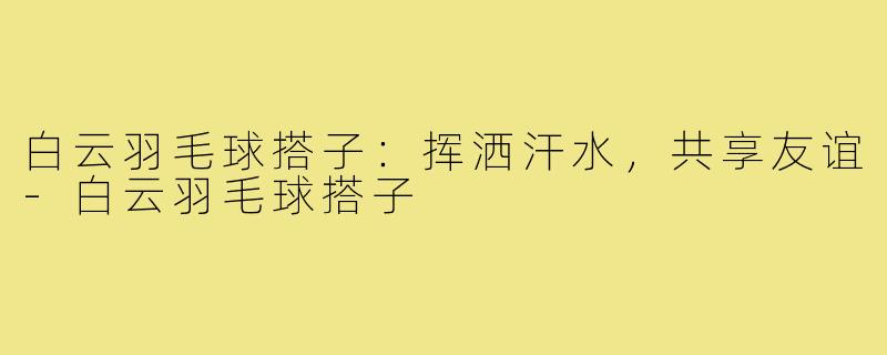 白云羽毛球搭子:挥洒汗水,共享友谊-白云羽毛球搭子