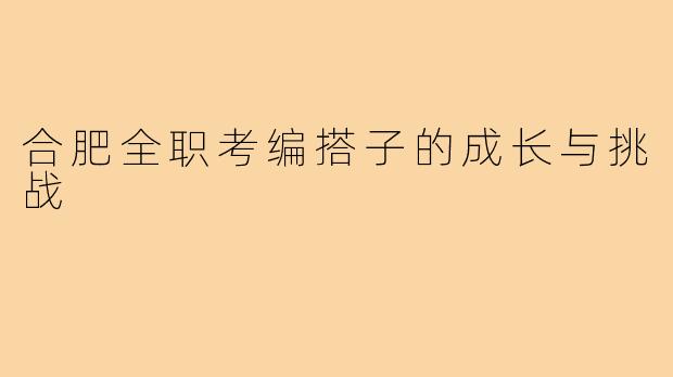 合肥全职考编搭子的成长与挑战
