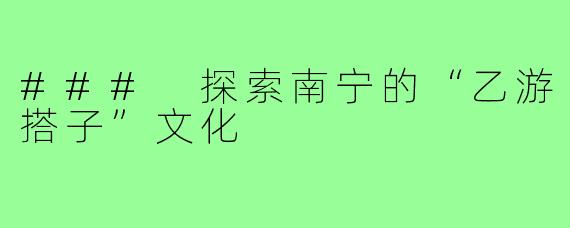 ### 探索南宁的“乙游搭子”文化