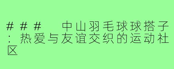 ### 中山羽毛球球搭子:热爱与友谊交织的运动社区