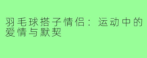 羽毛球搭子情侣:运动中的爱情与默契