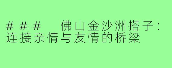 ### 佛山金沙洲搭子:连接亲情与友情的桥梁