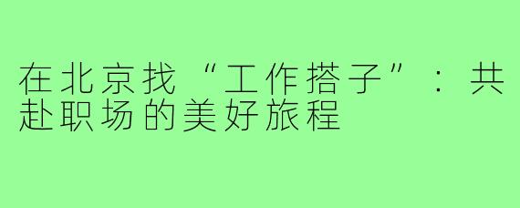 在北京找“工作搭子”:共赴职场的美好旅程