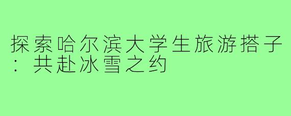 探索哈尔滨大学生旅游搭子:共赴冰雪之约
