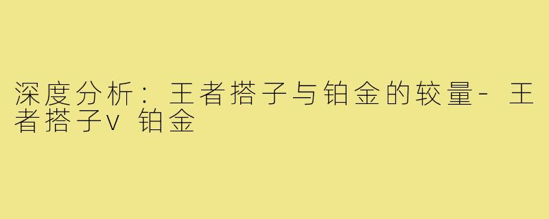 深度分析：王者搭子与铂金的较量-王者搭子v铂金