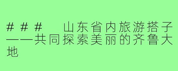 ### 山东省内旅游搭子——共同探索美丽的齐鲁大地
