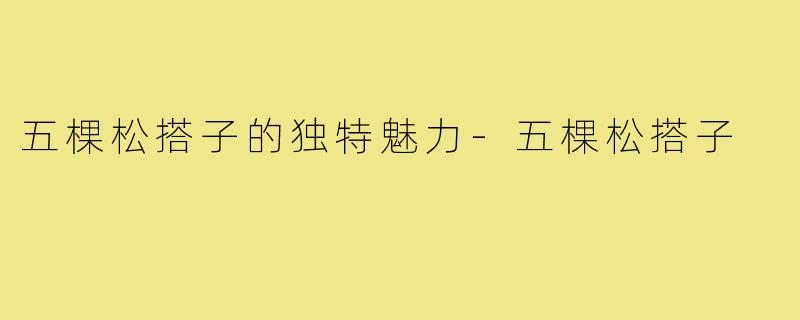 五棵松搭子的独特魅力-五棵松搭子