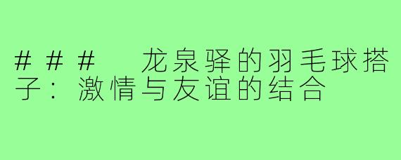 ### 龙泉驿的羽毛球搭子:激情与友谊的结合