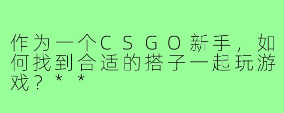 作为一个CSGO新手，如何找到合适的搭子一起玩游戏？**