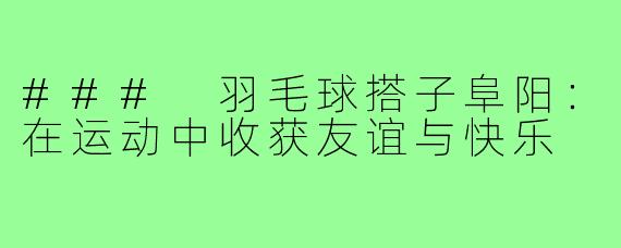 ### 羽毛球搭子阜阳:在运动中收获友谊与快乐