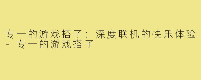 专一的游戏搭子：深度联机的快乐体验-专一的游戏搭子