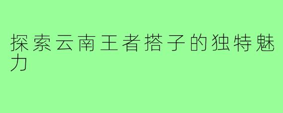 探索云南王者搭子的独特魅力