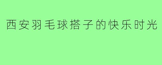 西安羽毛球搭子的快乐时光
