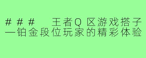 ### 王者Q区游戏搭子—铂金段位玩家的精彩体验