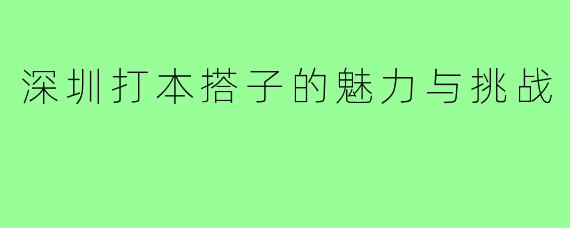 深圳打本搭子的魅力与挑战