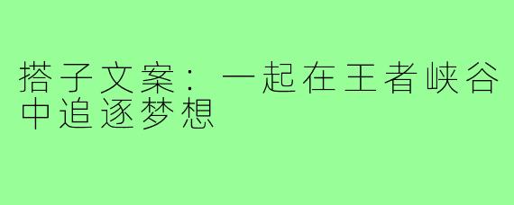 搭子文案:一起在王者峡谷中追逐梦想