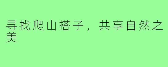 寻找爬山搭子,共享自然之美