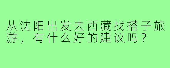 从沈阳出发去西藏找搭子旅游,有什么好的建议吗?