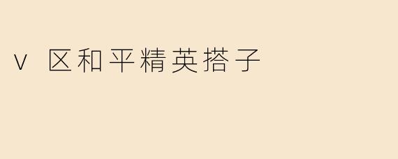 v区和平精英搭子