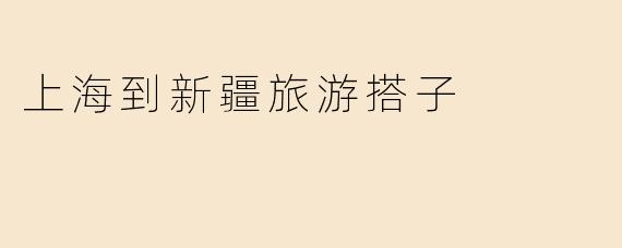 上海到新疆旅游搭子