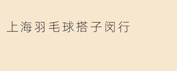 上海羽毛球搭子闵行