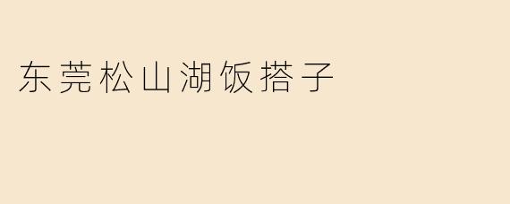 东莞松山湖饭搭子