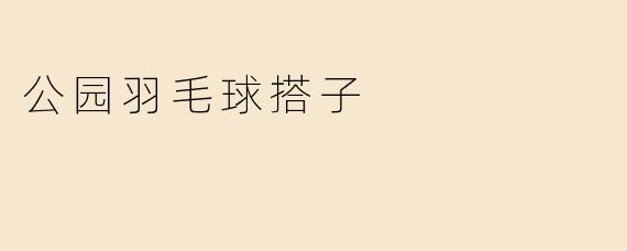 公园羽毛球搭子