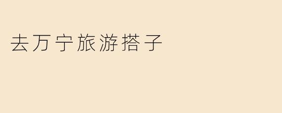 去万宁旅游搭子