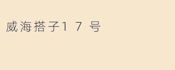 威海搭子17号