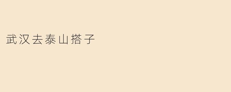 武汉去泰山搭子