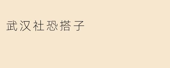 武汉社恐搭子