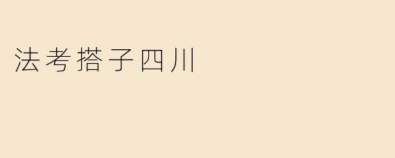 法考搭子四川
