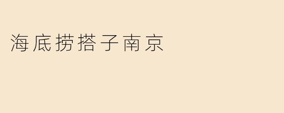 海底捞搭子南京