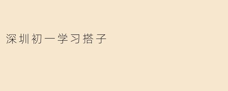 深圳初一学习搭子