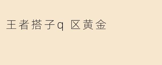 探索"王者搭子Q区黄金"的精彩世界
