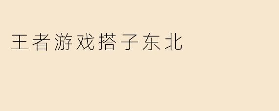 王者游戏搭子东北